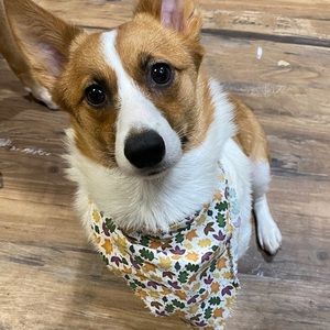 Meet your Posher, Katherine